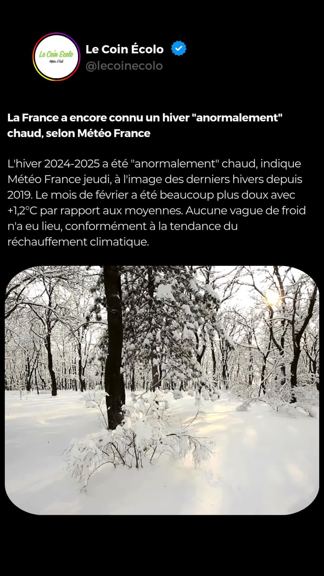 @Le Coin &Eacute;colo