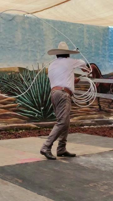 @Chavo