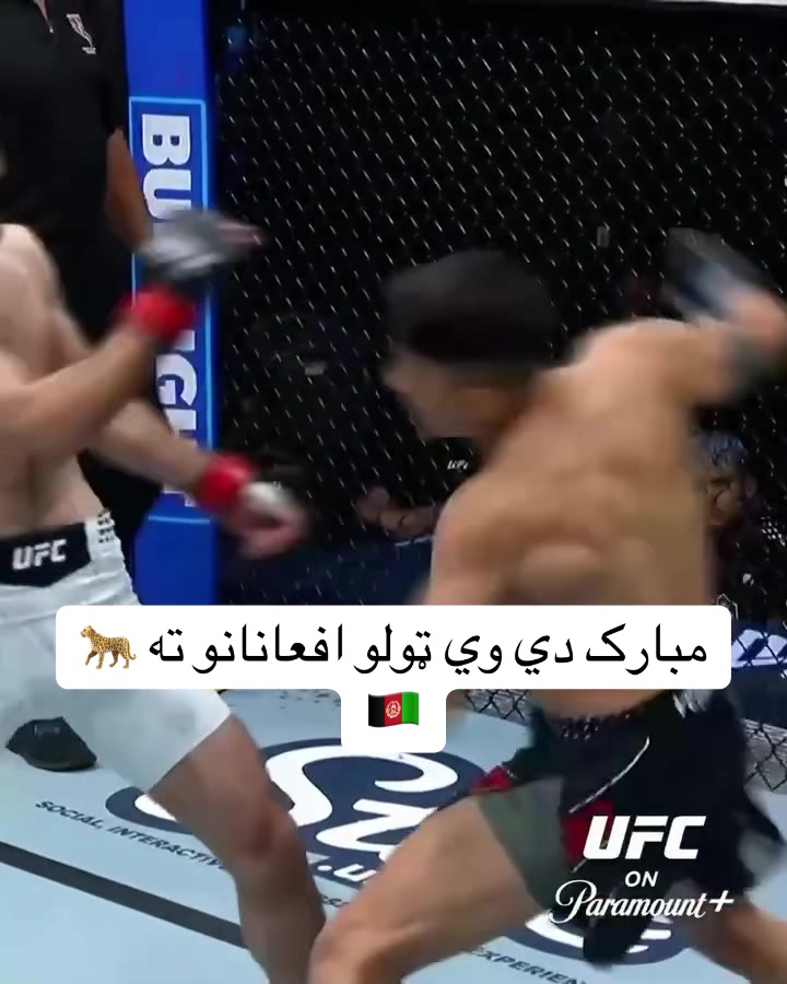 @AFG 👑MMA👑