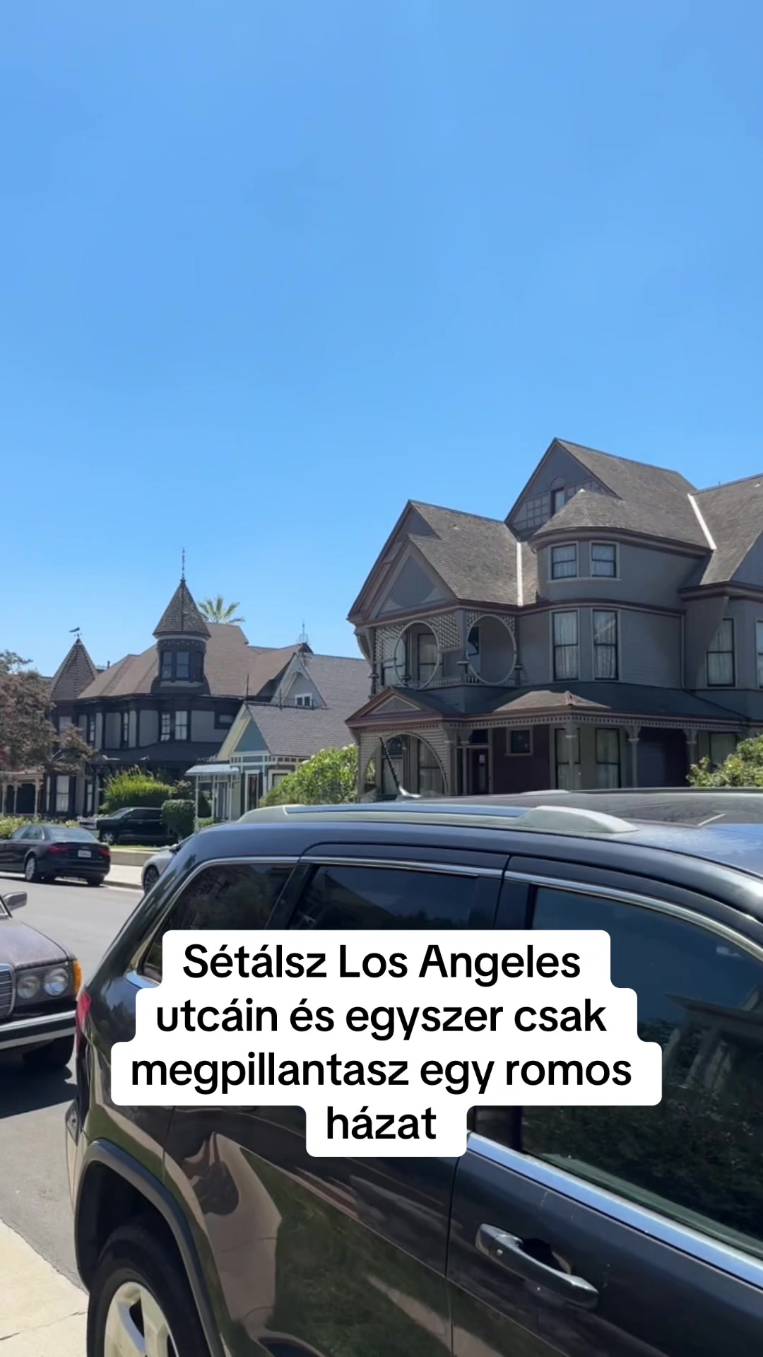 @Sára Szász