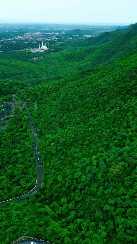 @Nature Vibes 🌲