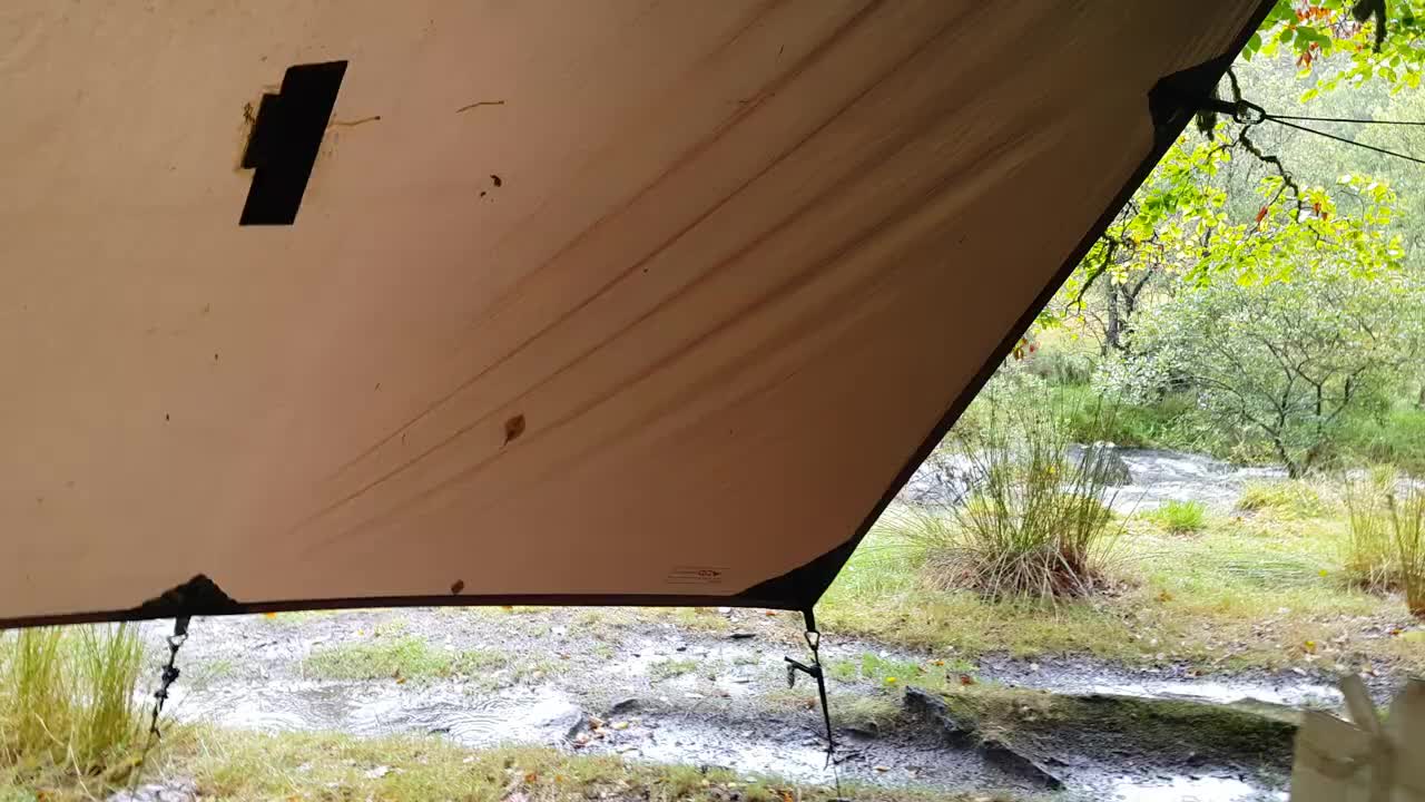 @SouthernWoodsman