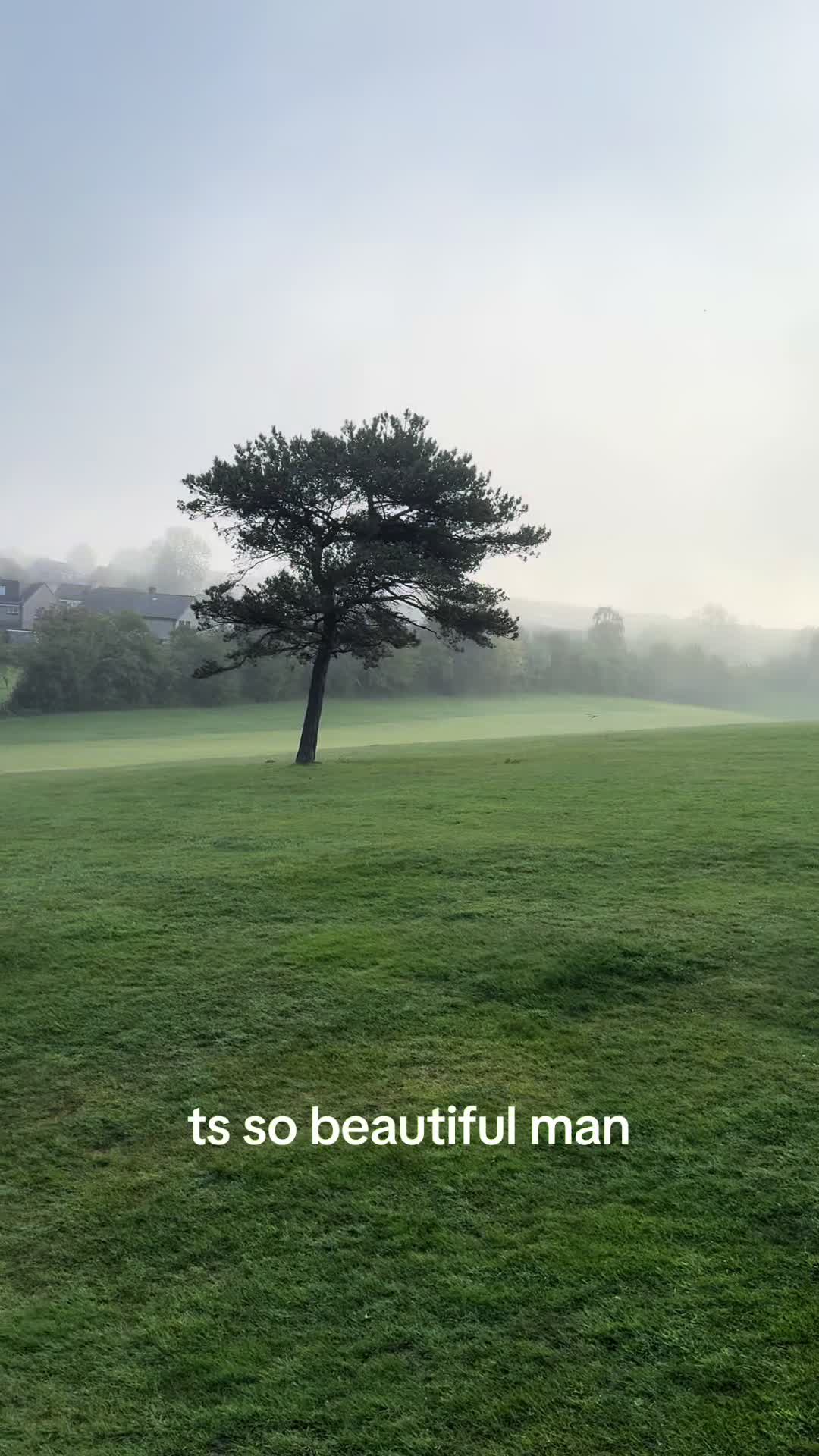 @thebigmikeshow