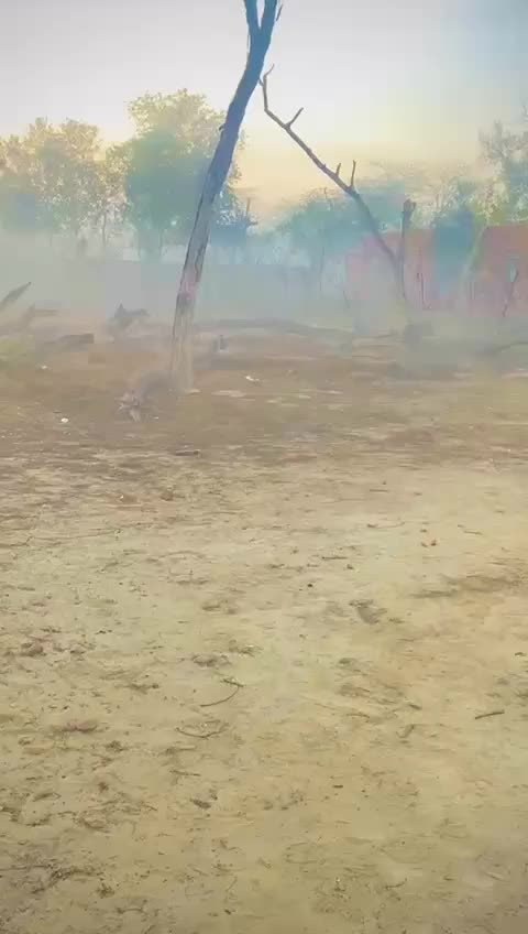 @balu.ansari.665