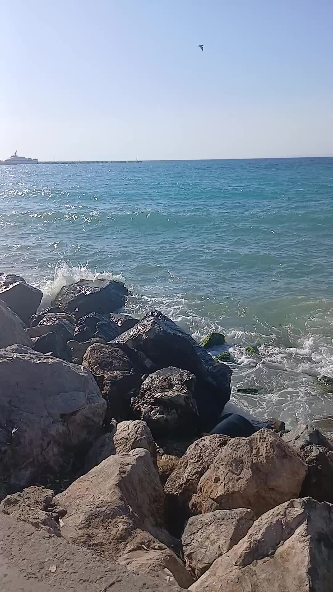 @valob3