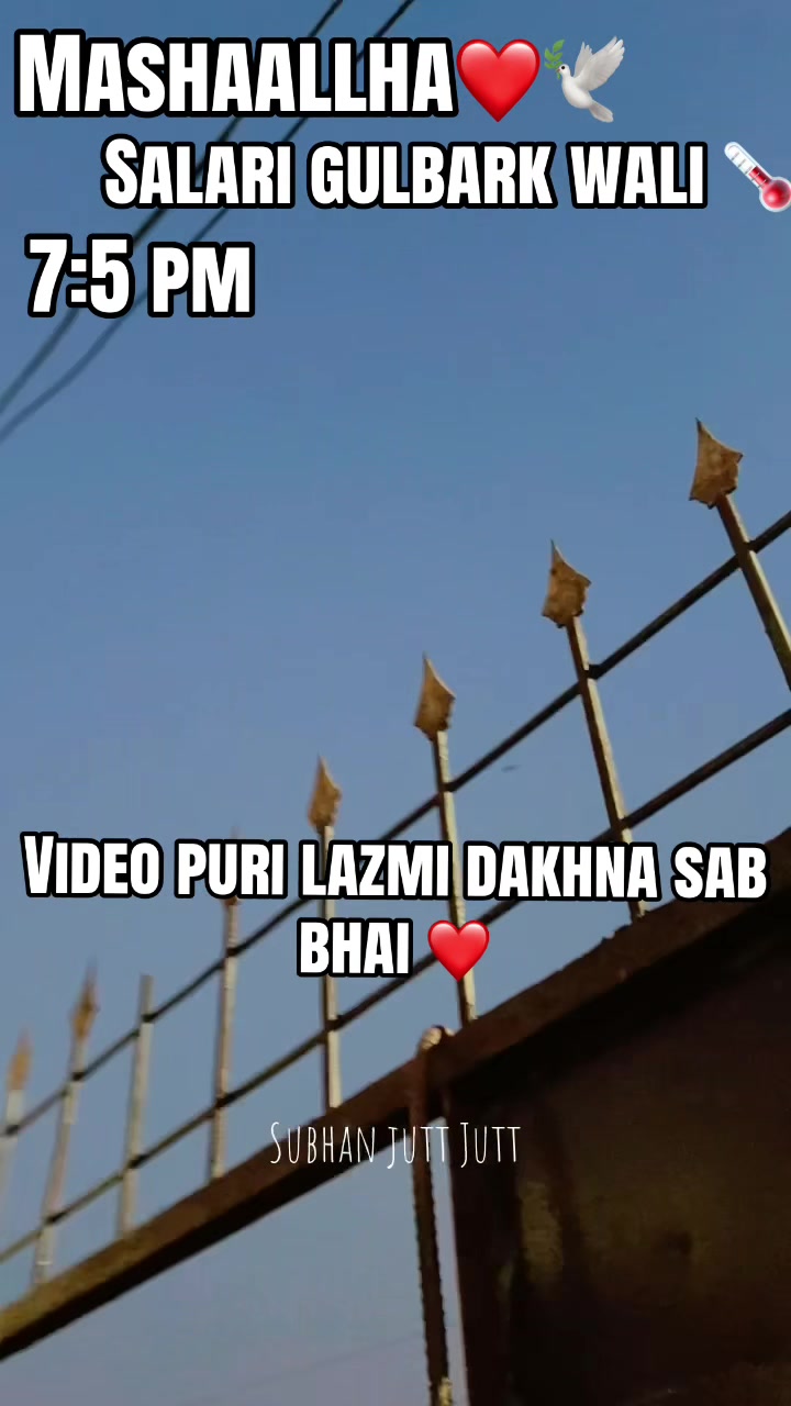 @Kabutar bazz jutt 🕊️❤️🔥🗣️
