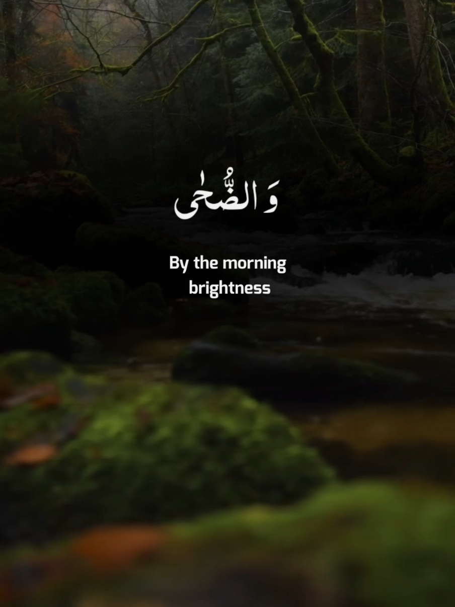 @Taimoor Hashmi