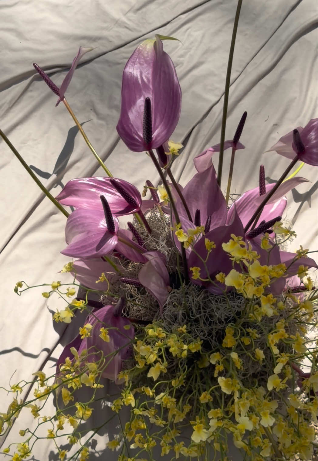 @Elle | BOTANICS