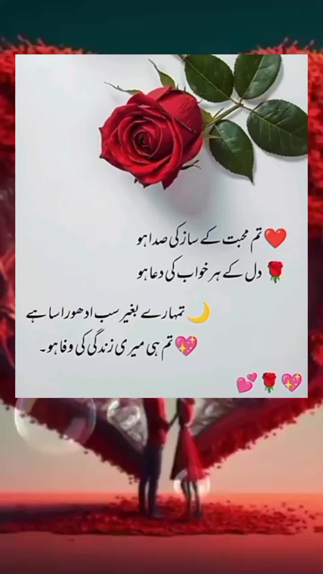 @sharaiz