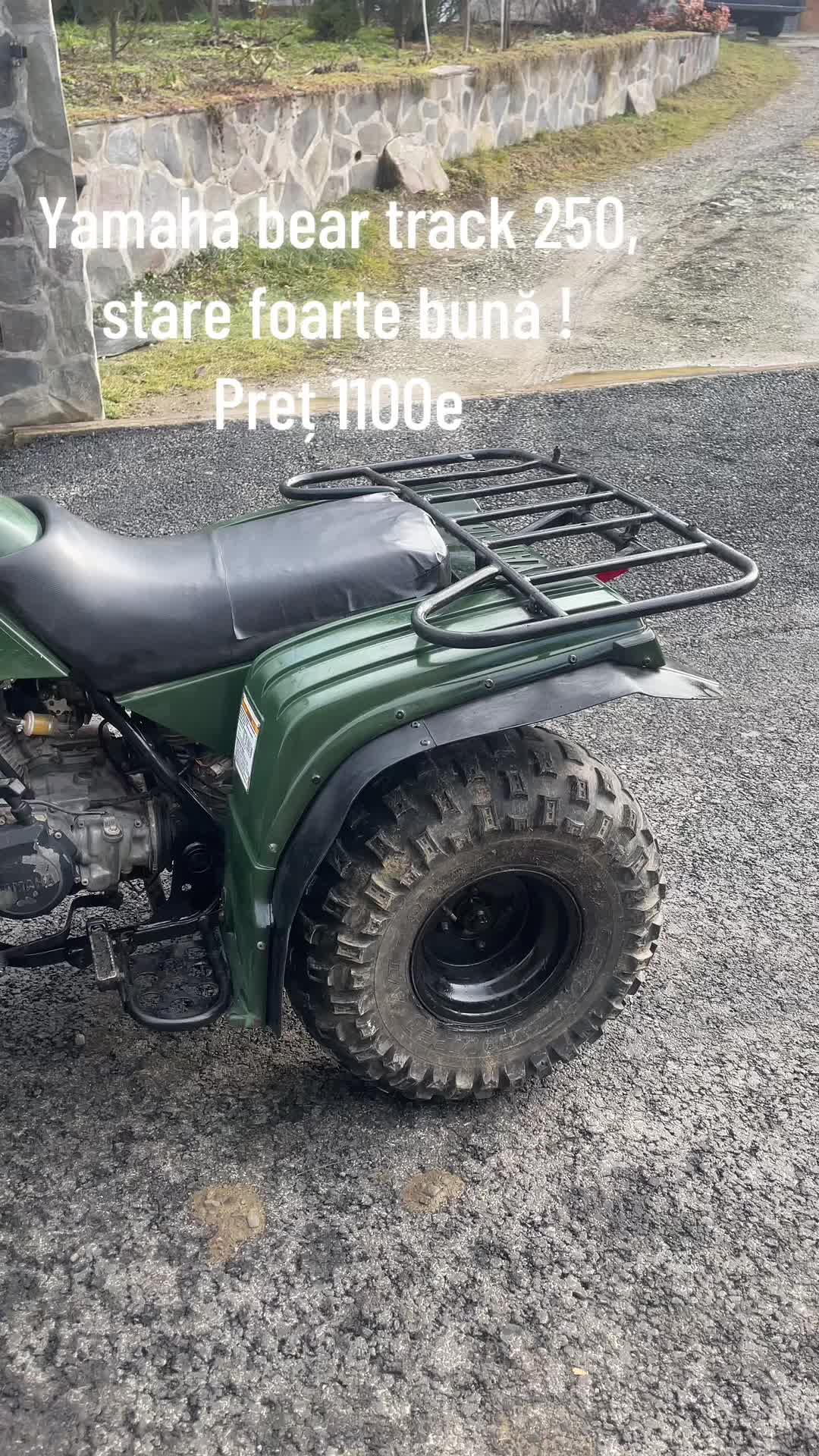 @Adi Ciocotis