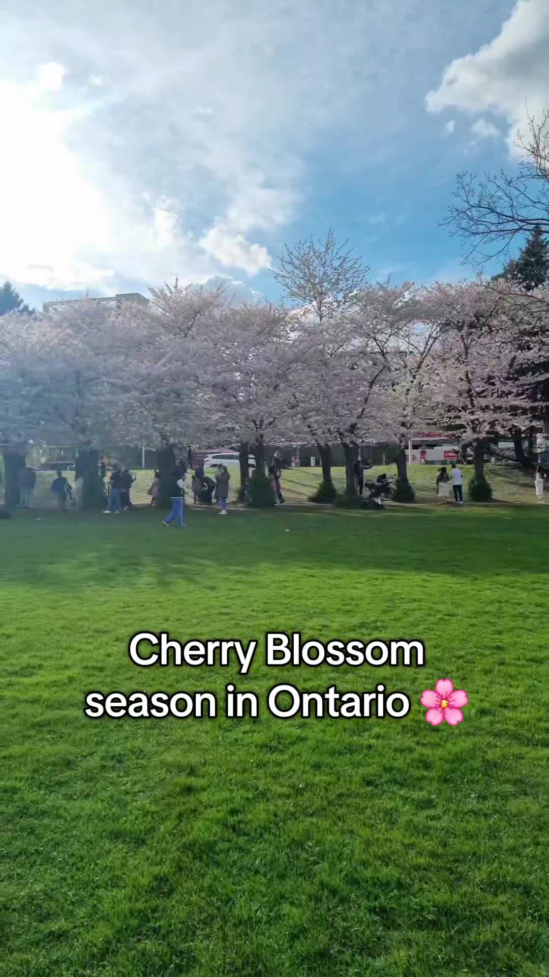 @currently_in_canada