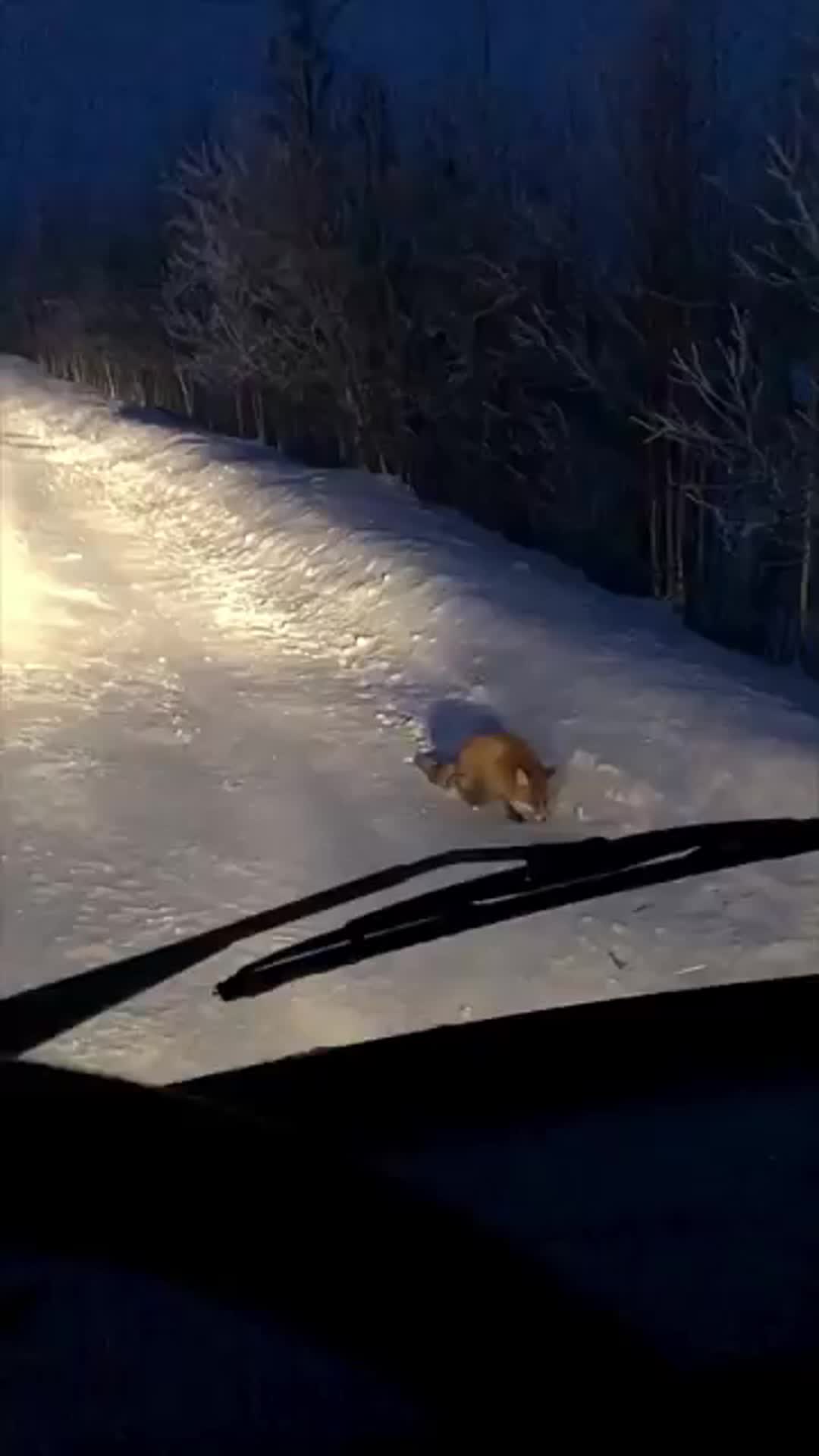 @amazingworld.55
