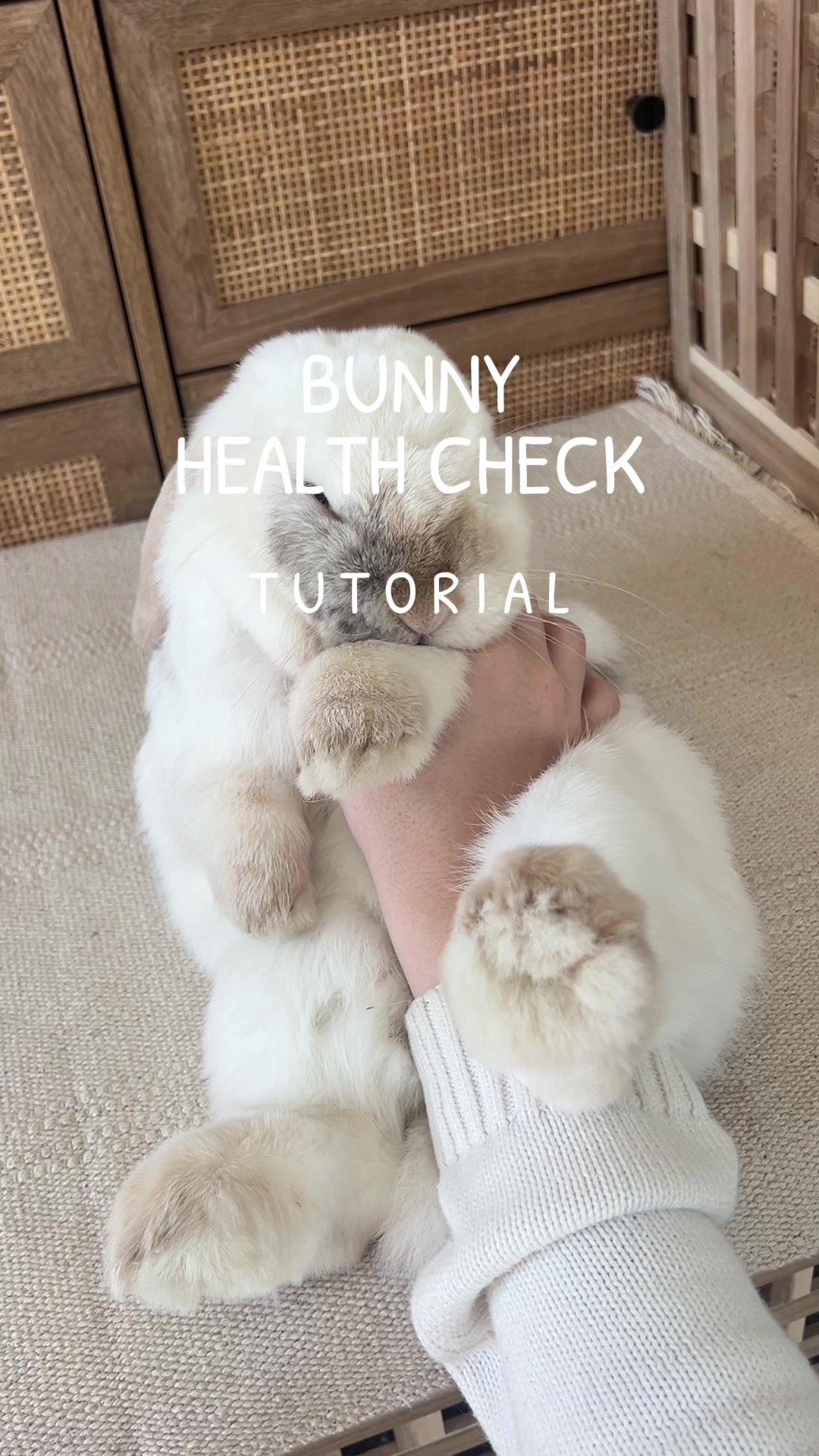 @Petswcourt