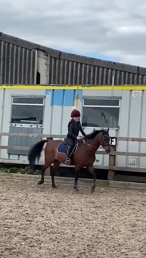 @𝐉𝐞𝐦𝐢𝐦𝐚𝐞𝐯𝐞𝐞𝐪 🐴