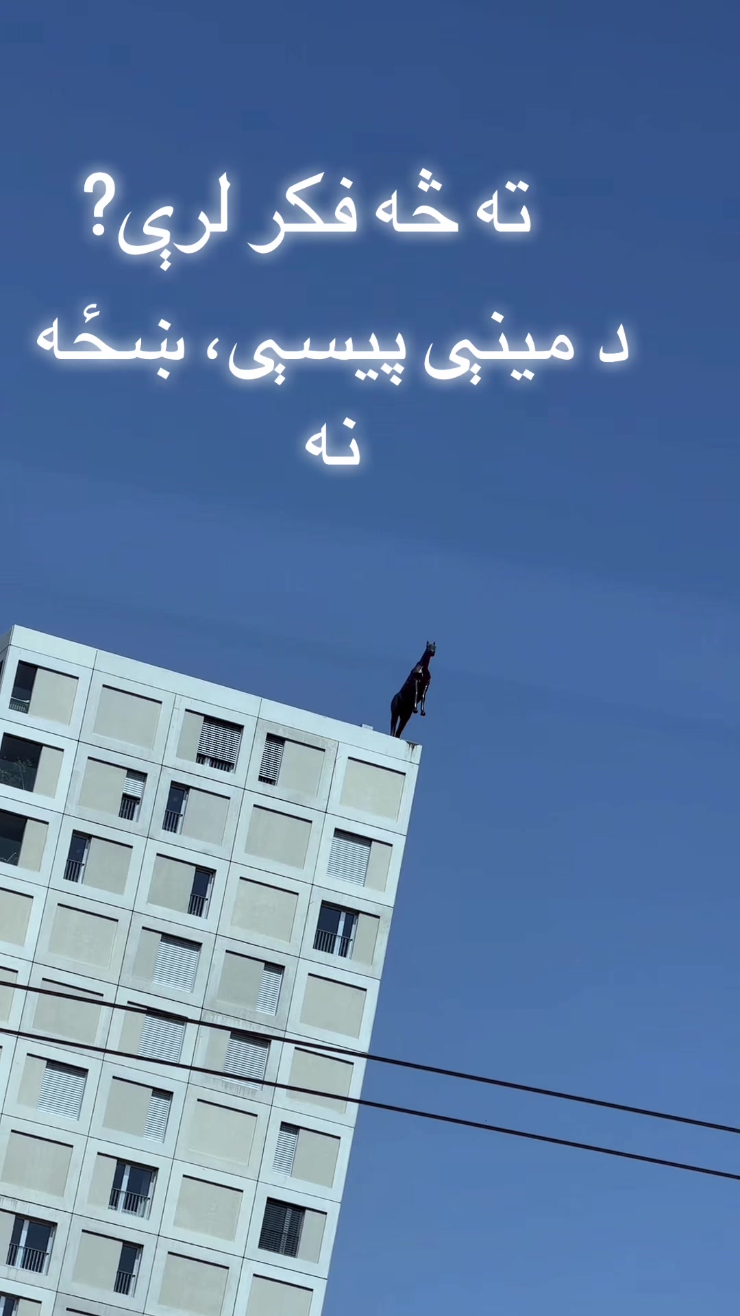 @Armani ððšððŠð«
