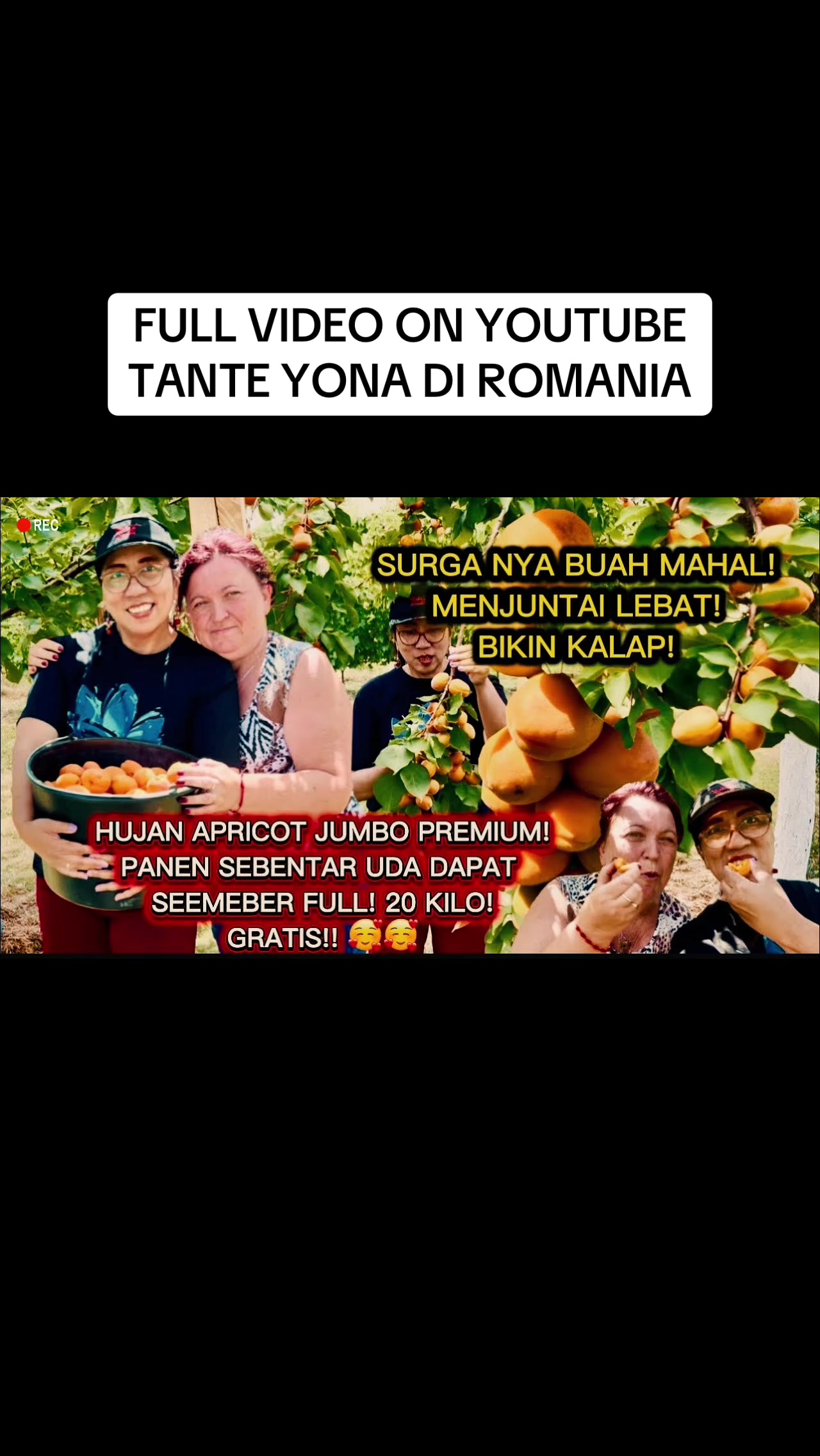 @Tante Yona di Romania