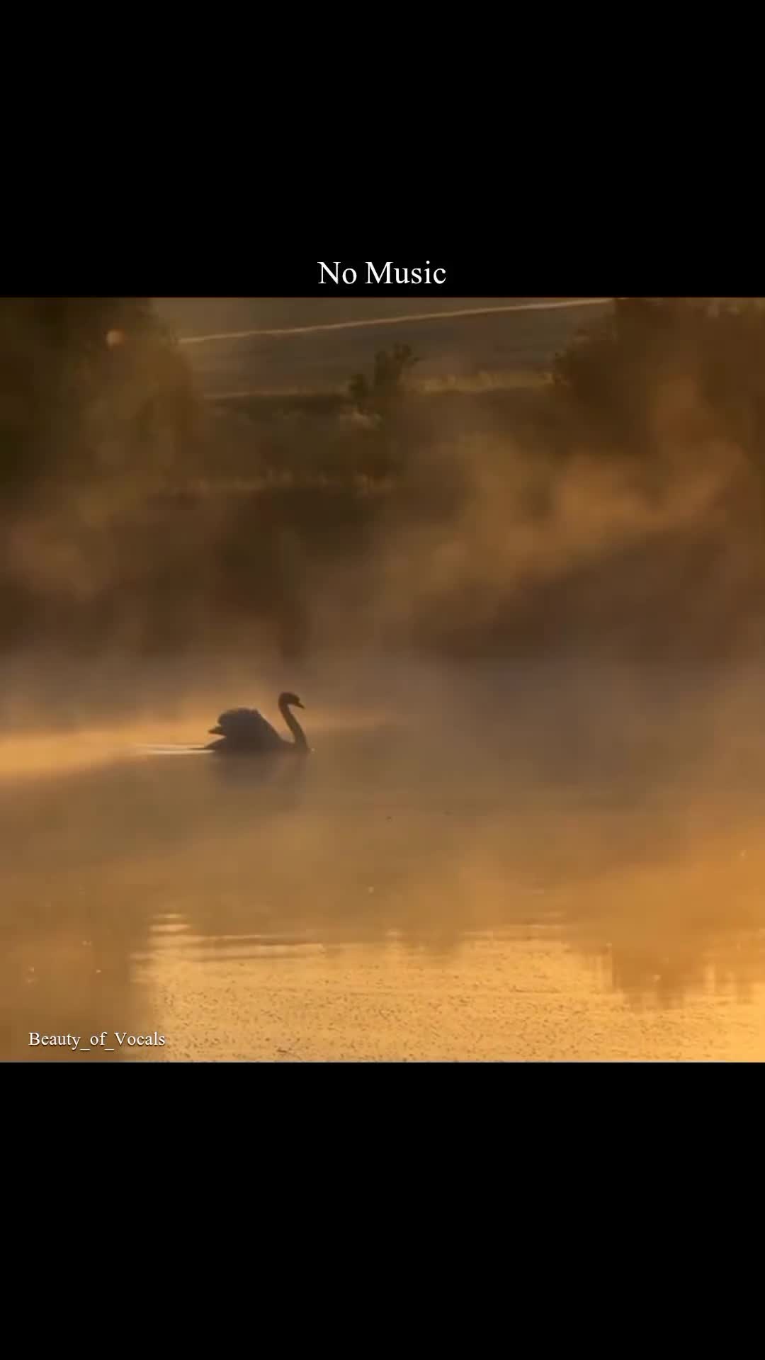 @𝐁𝐞𝐚𝐮𝐭𝐲_𝐨𝐟_𝐕𝐨𝐜𝐚𝐥𝐬