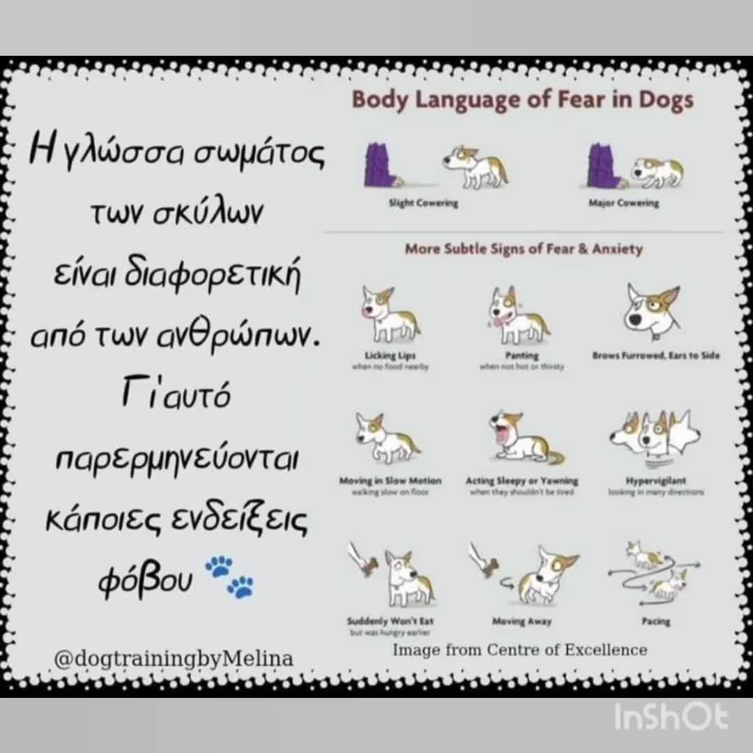 @dogtrainingbymelina