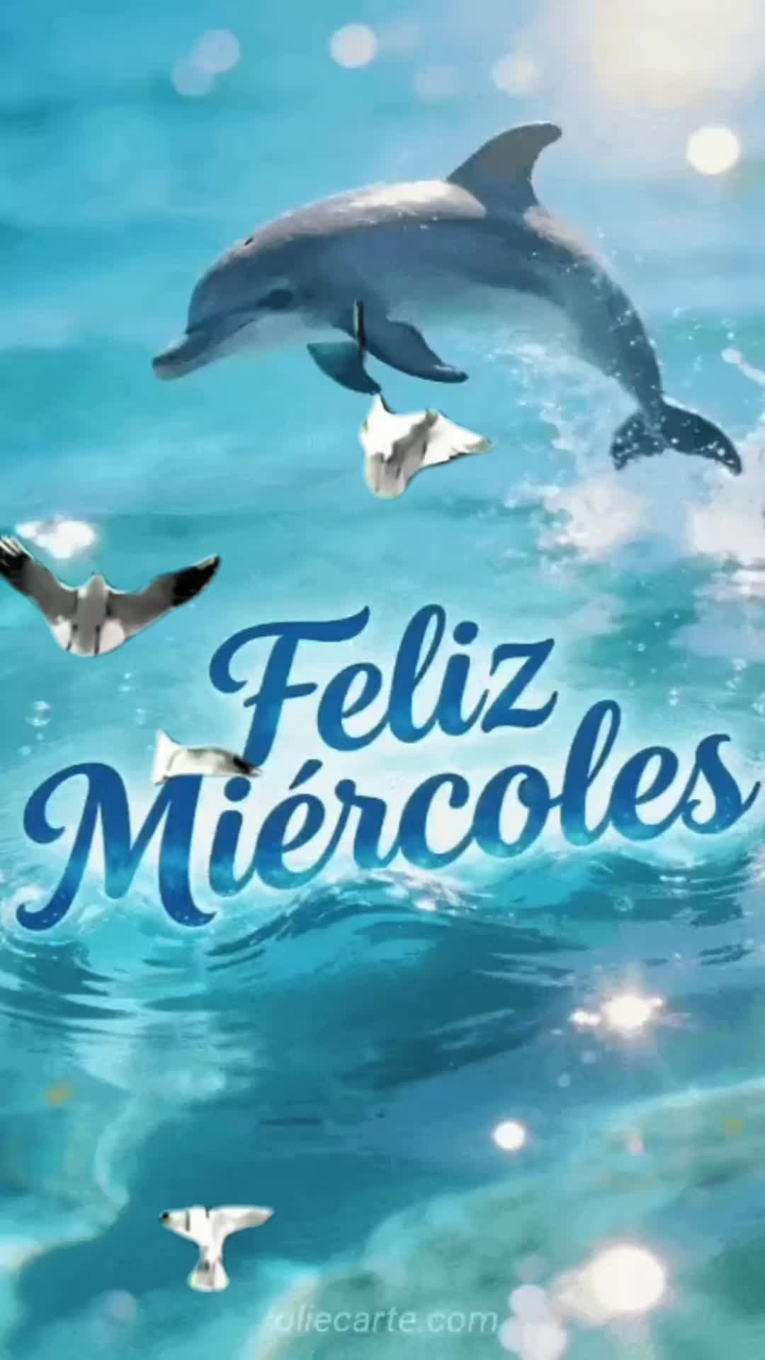 @ems
