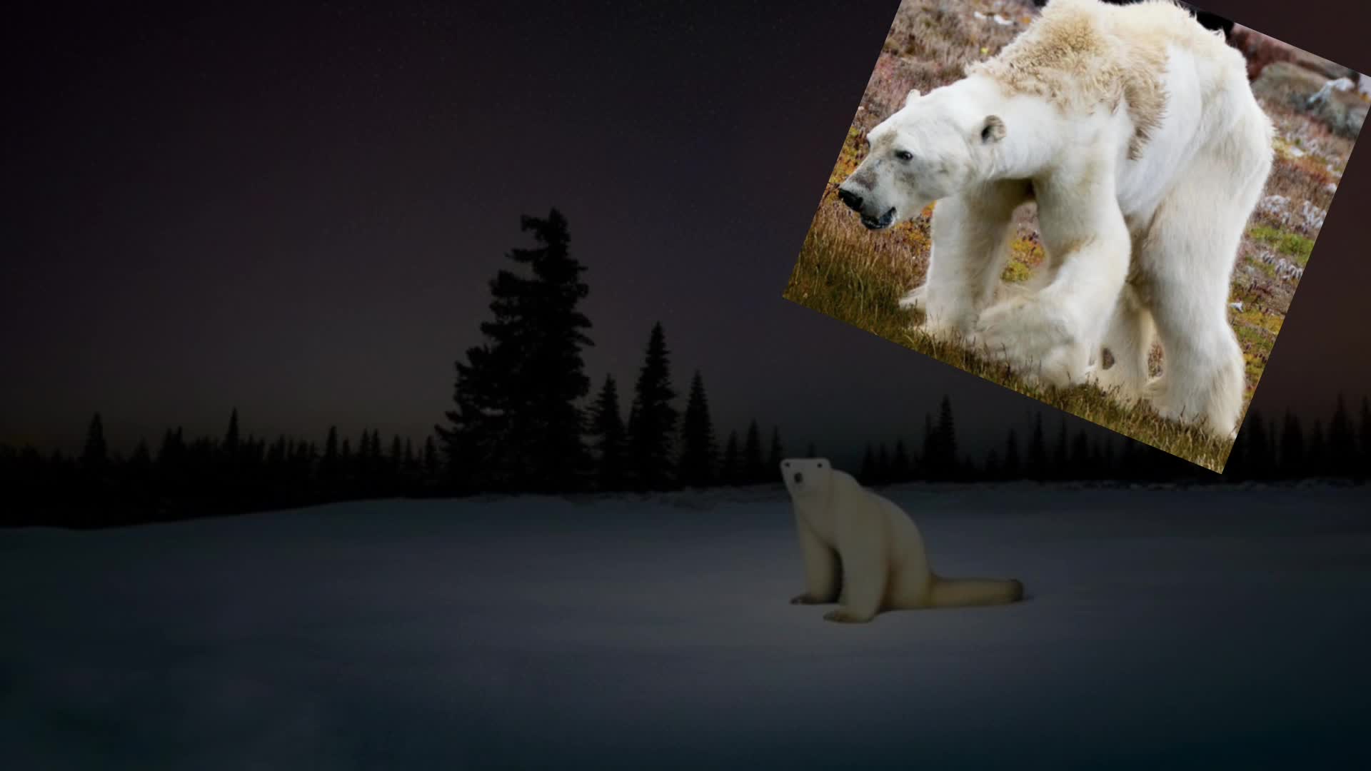 @MrggTV