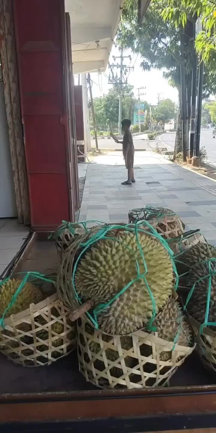 @Kenzhi Durian Tuban