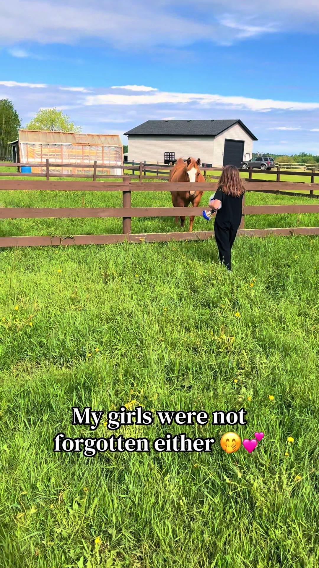 @Ferally Fowl Farmstead