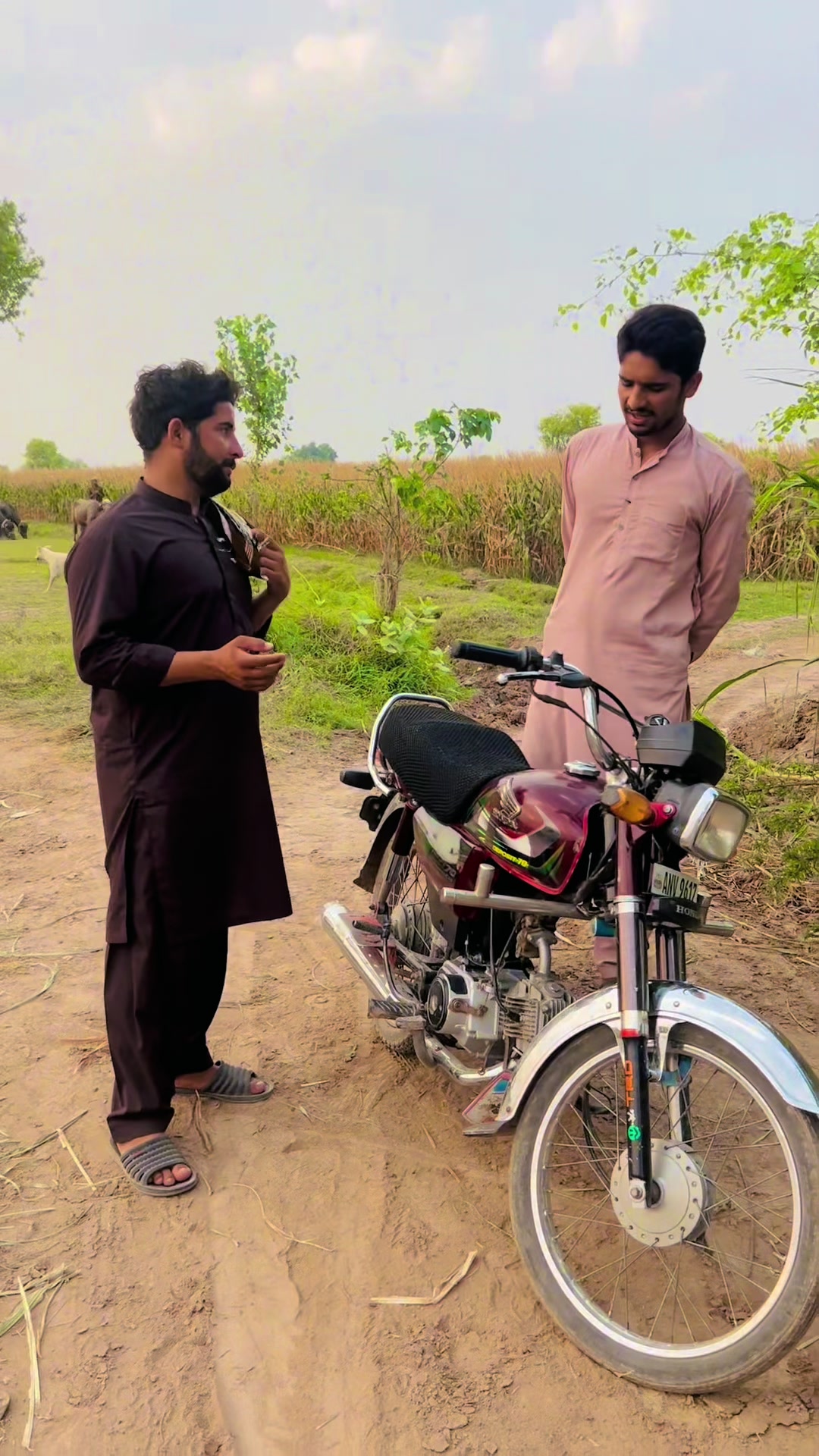 @پینڈو بوائز 378