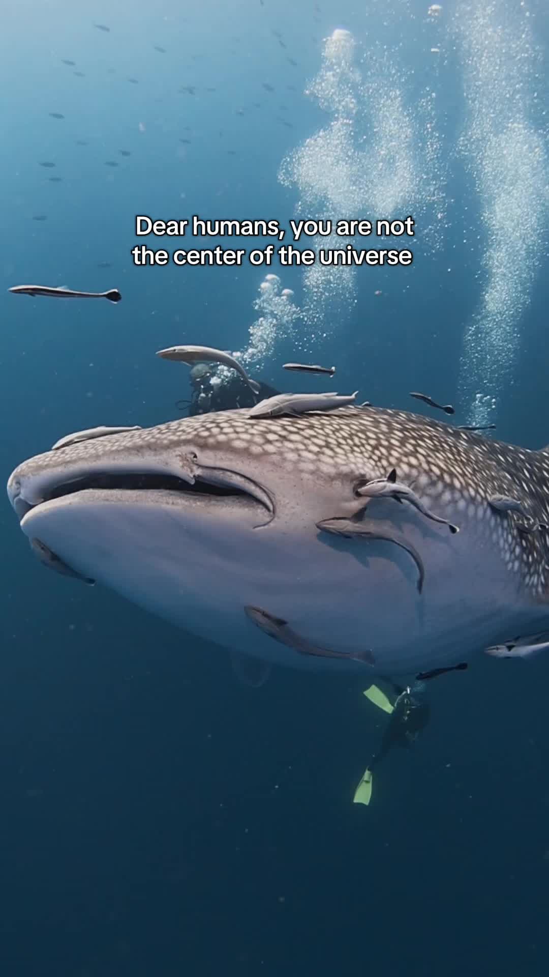 @Ella | Dive Instructor