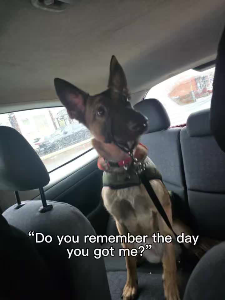 @Dee