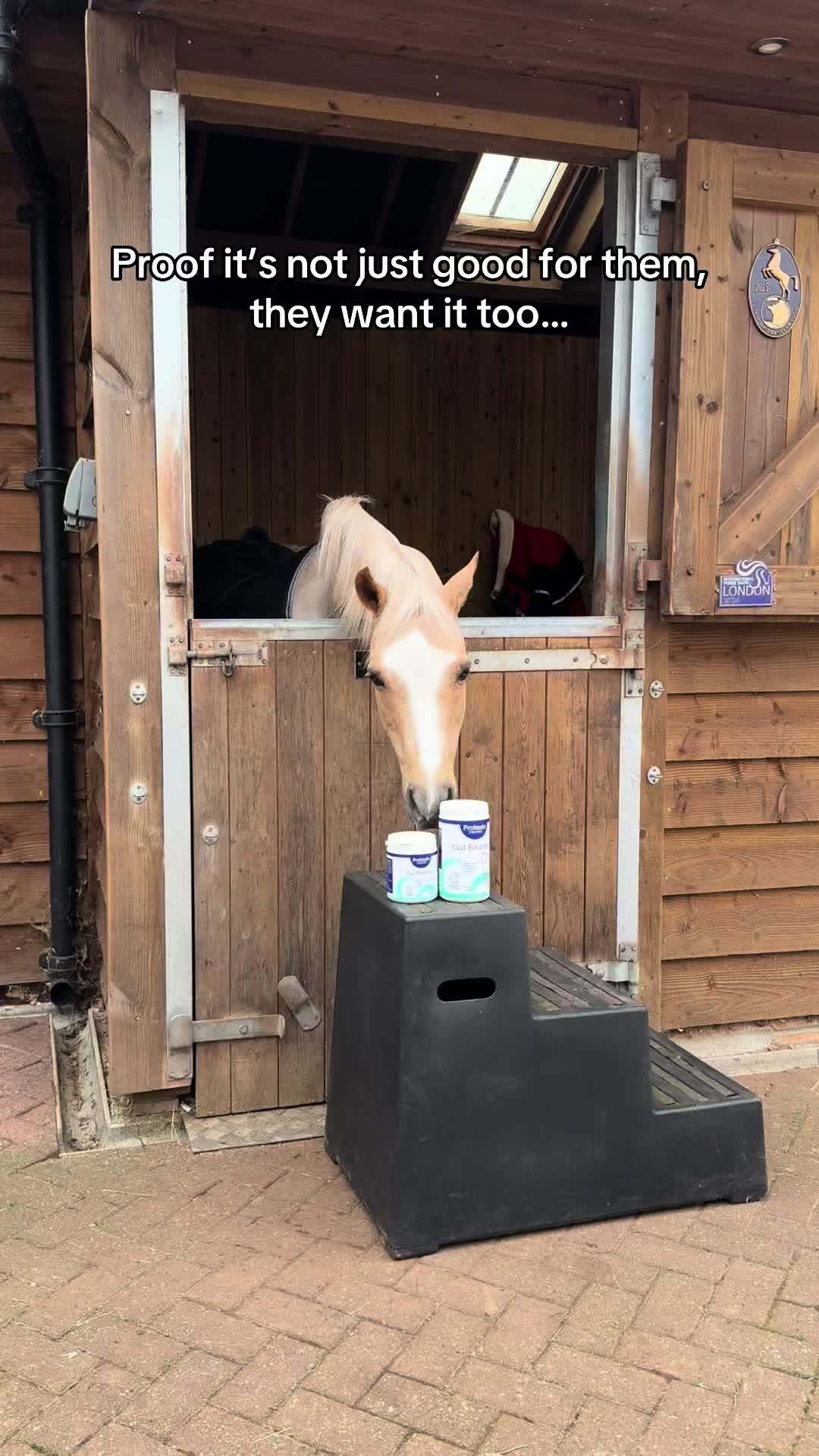 @Protexin Equine