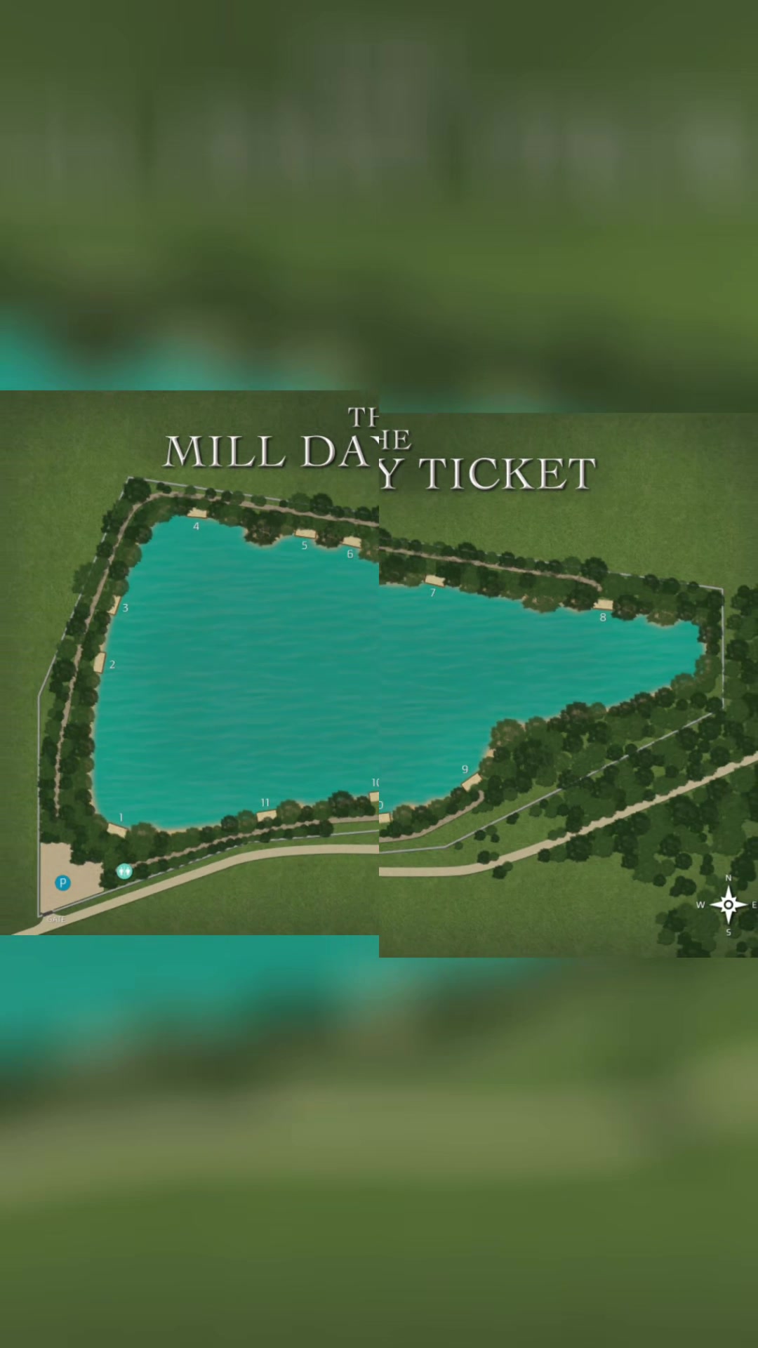 @Carp Fishing TheMillDayticket