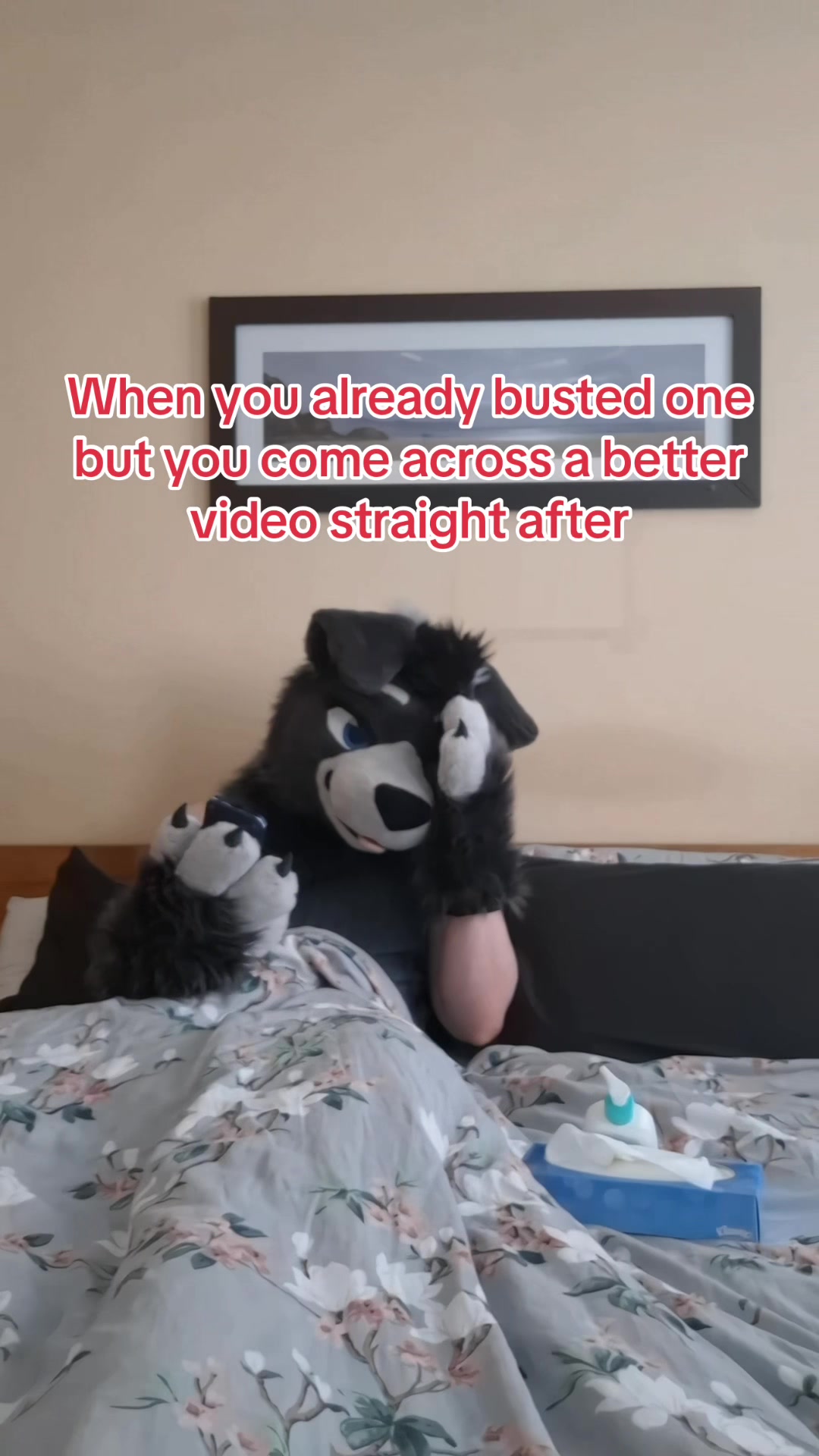@Nightphin