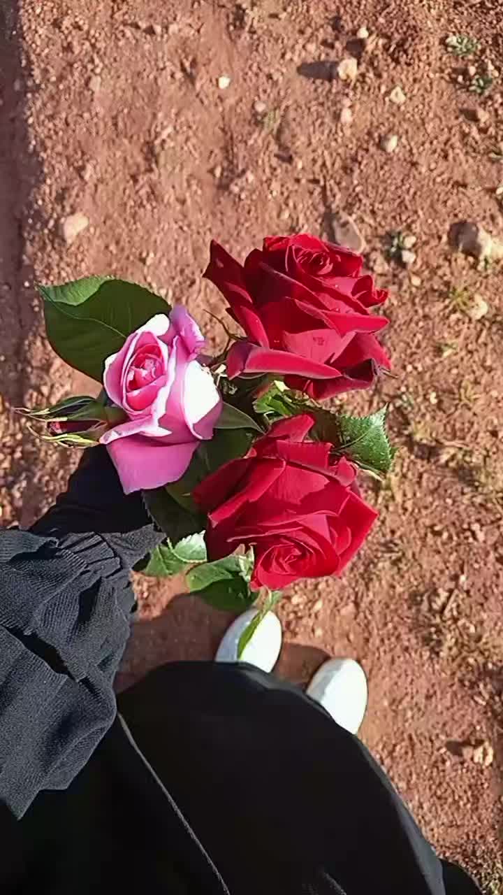 @أثًر  ادلبـﮧَِ💚ۦـية