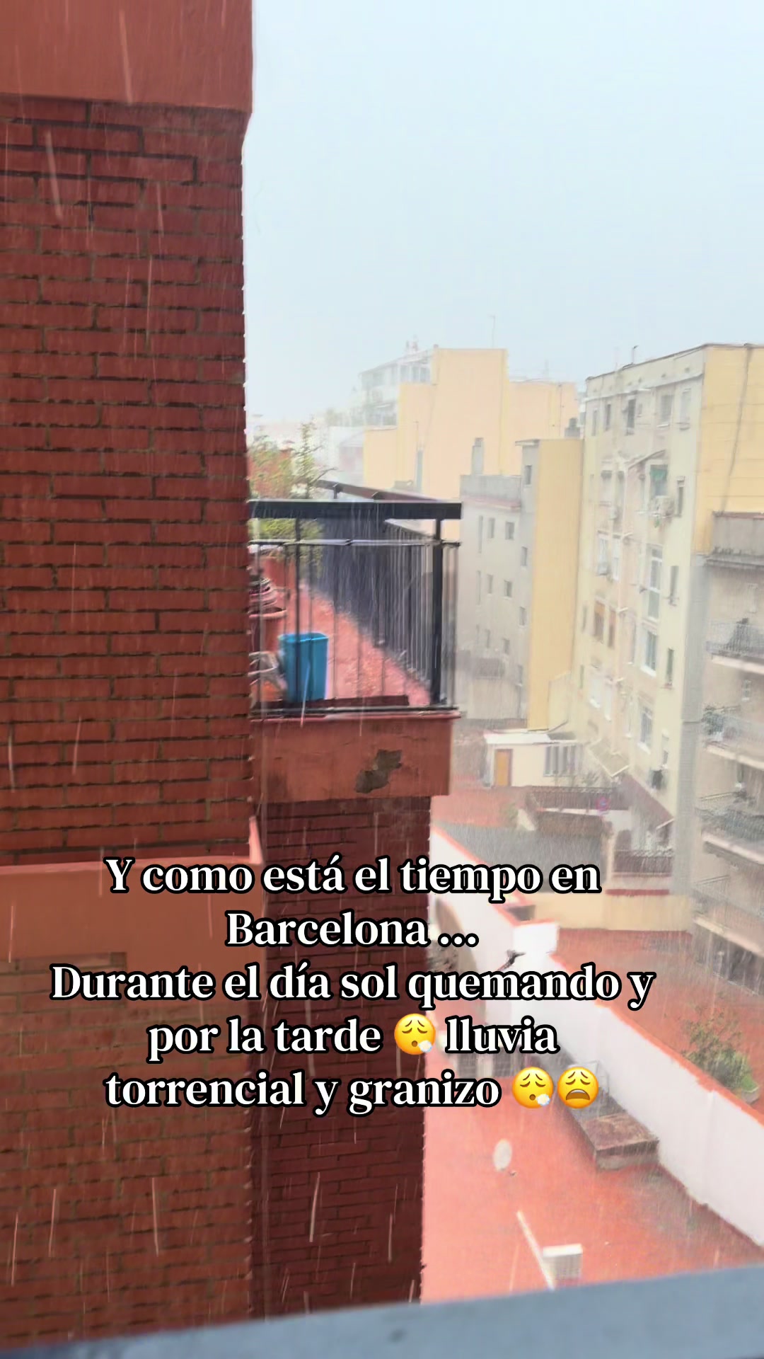 @Sandra Acasiete RyS