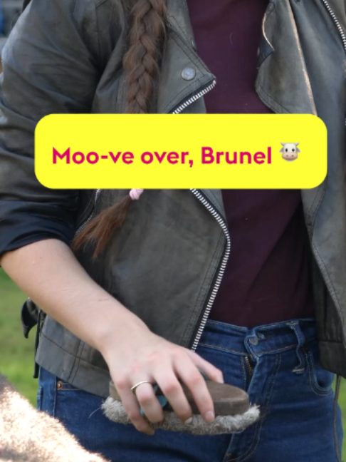 @Union of Brunel Students