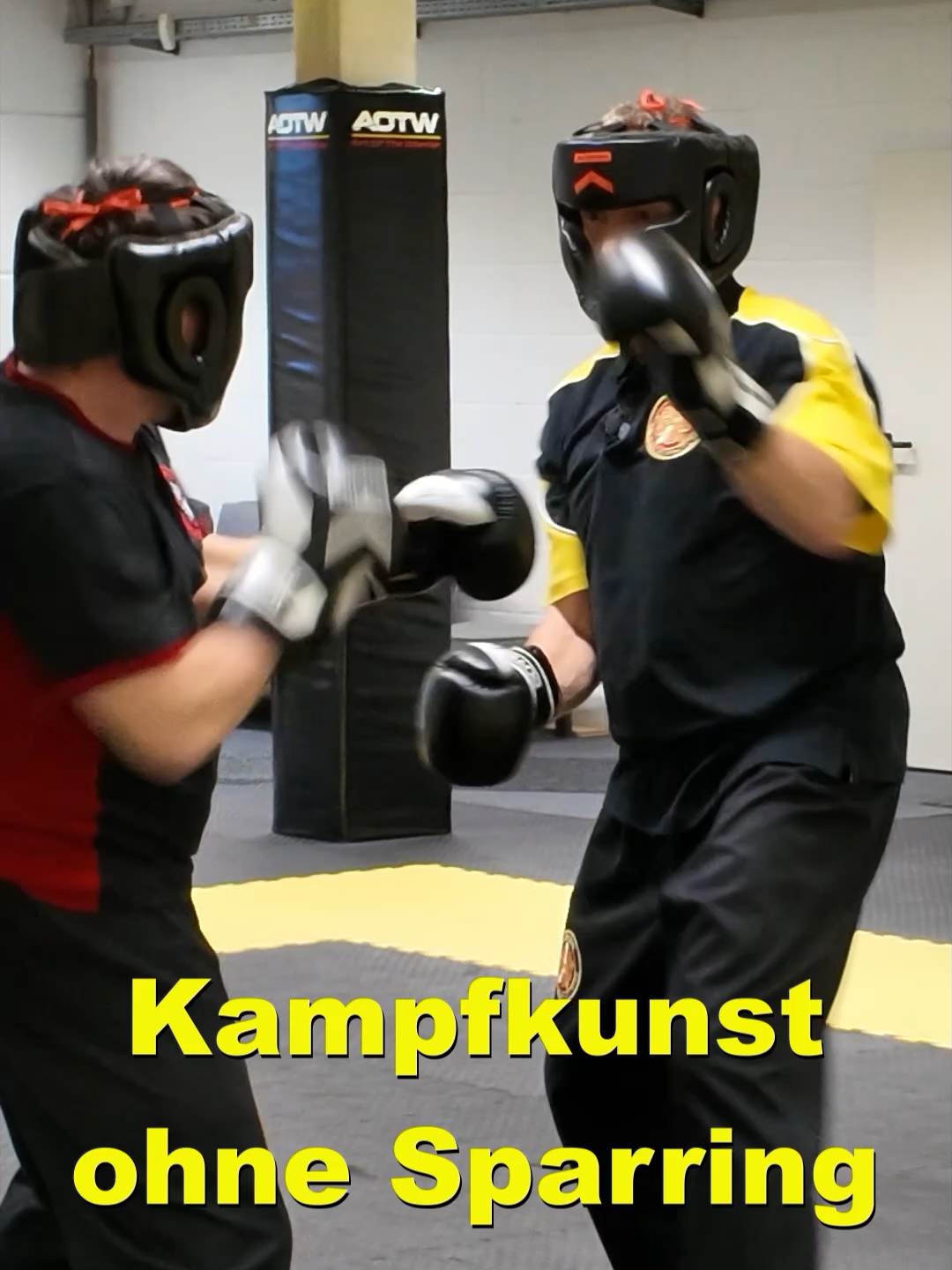 @Sifu Martin Hofmann