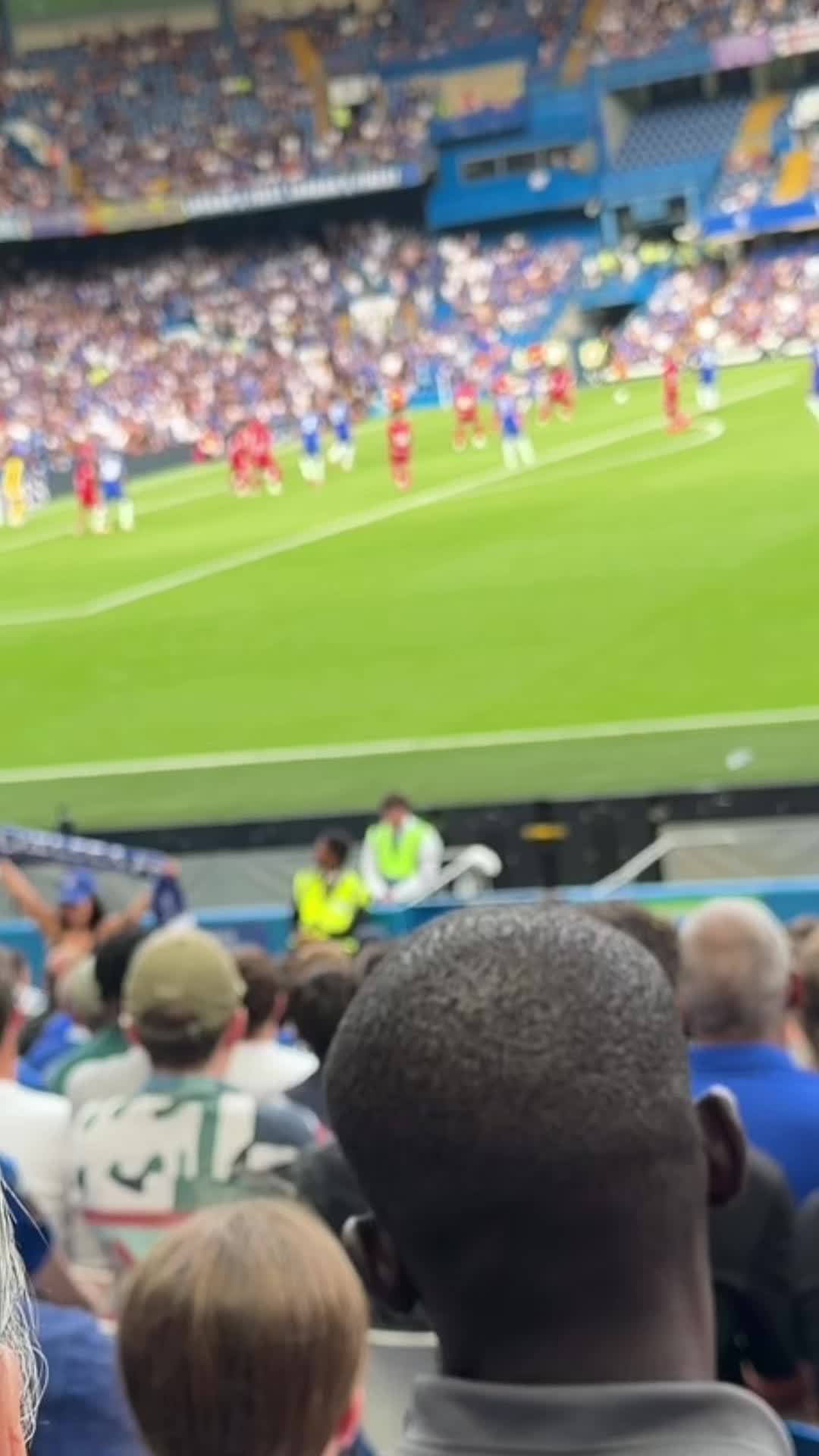 @BLUESFANTV