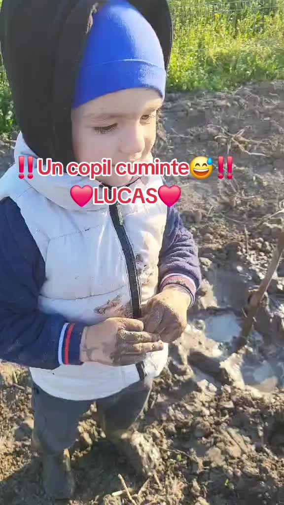 @FAVORIT BOTOȘANI