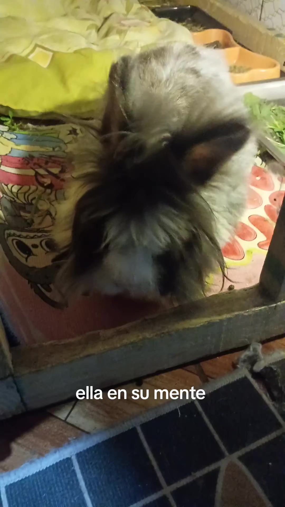 @leidymiranda_2084