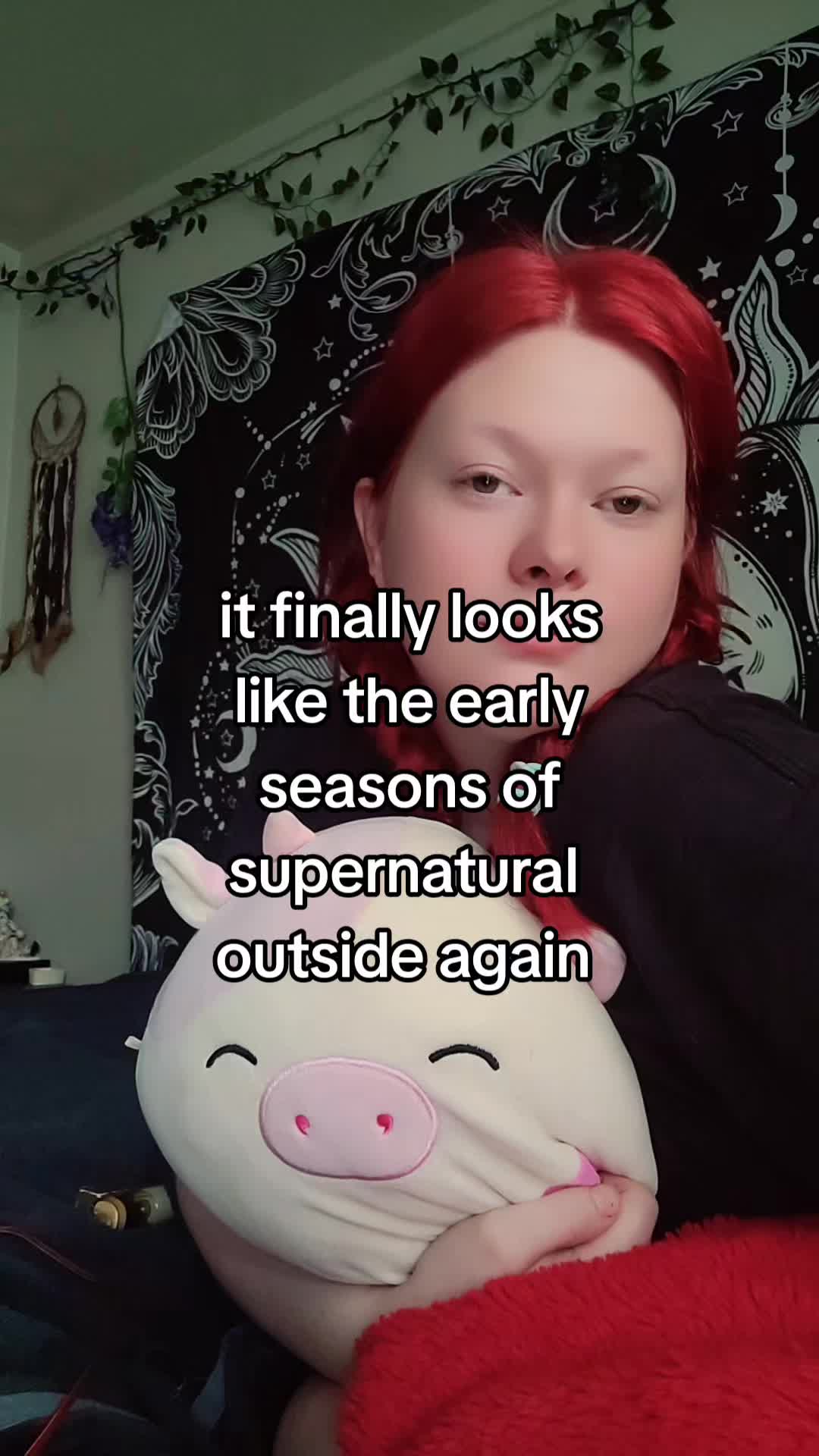 @noel