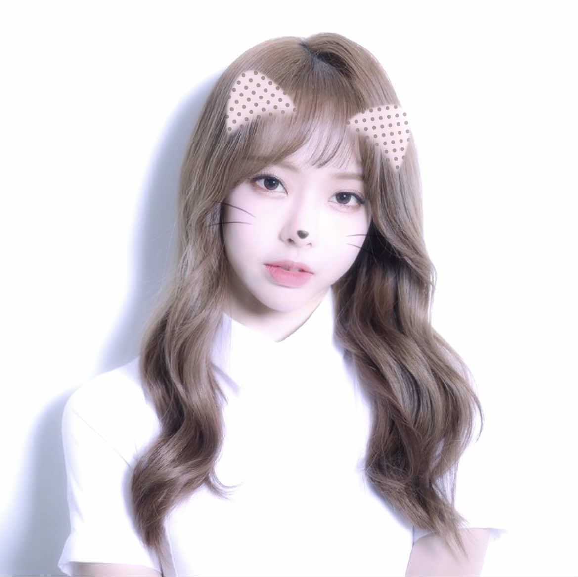 @♯ ⋮ vivi with cat filter¹² 𓏵