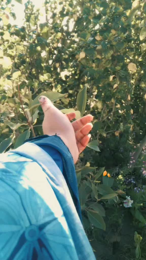 @シ︎𝐊𝐚شـی-𝐯❍𝐢𝐜𝐞🥀🖤