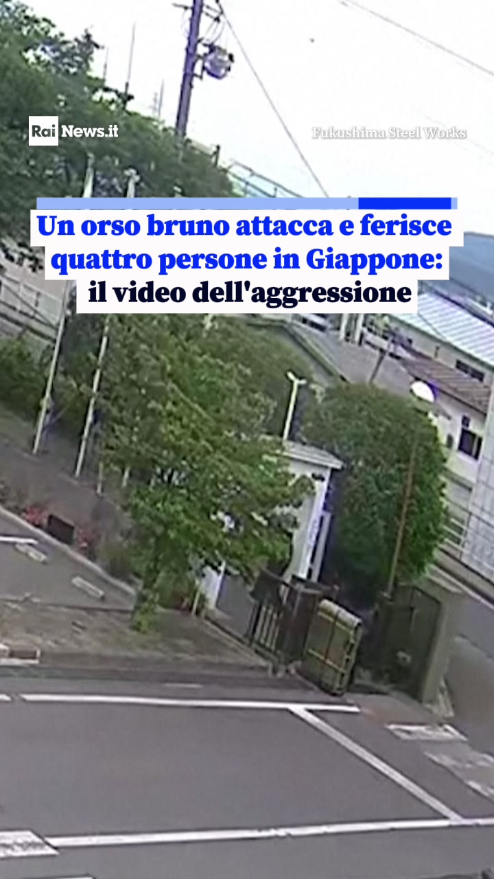 @RaiNews