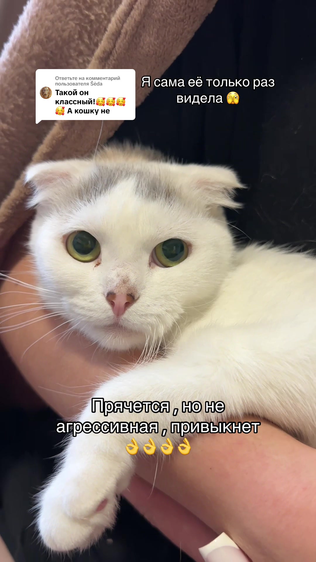 @Анастасия Чернявская.