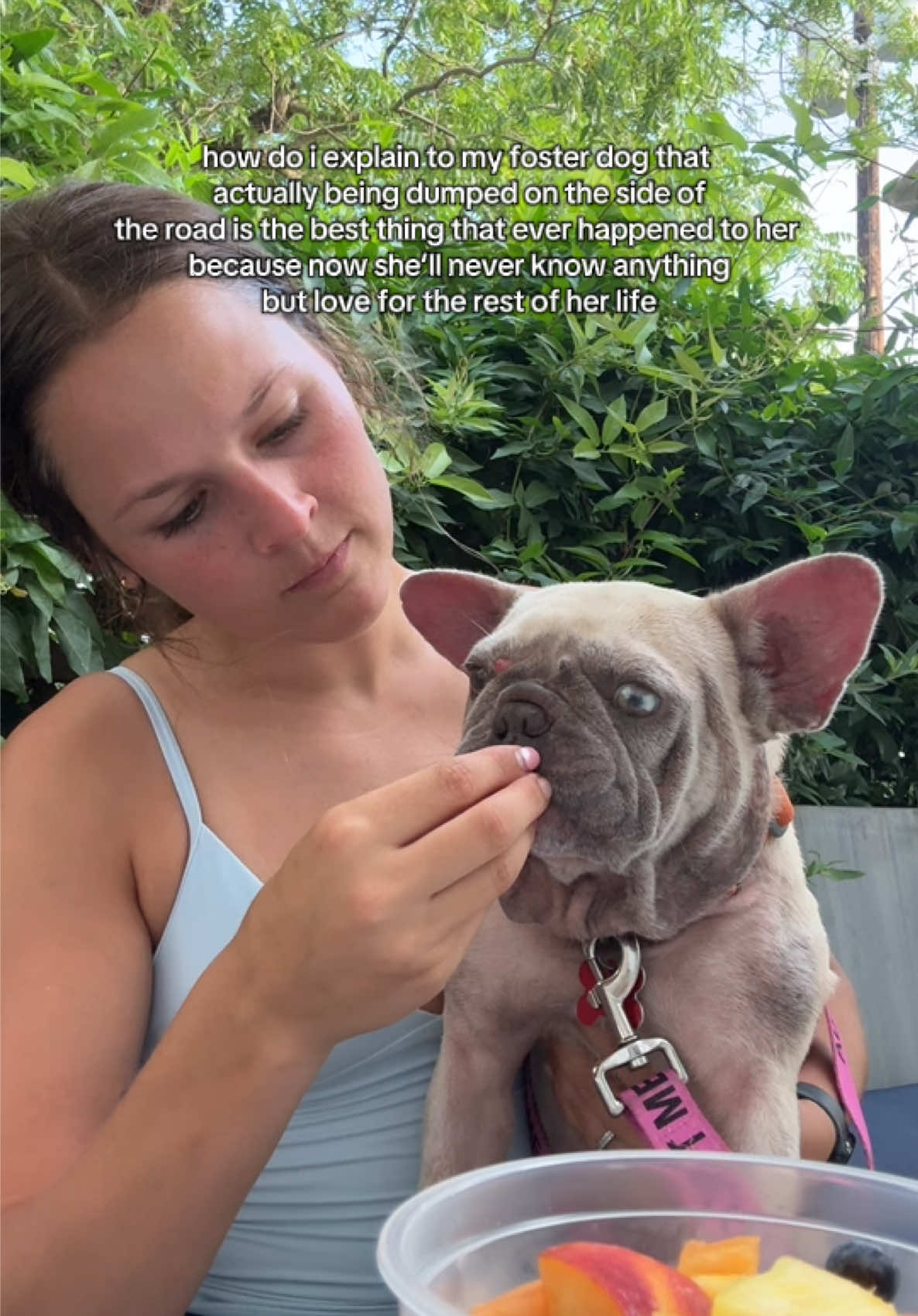 @Abby KPA-CTP | Dog Trainer