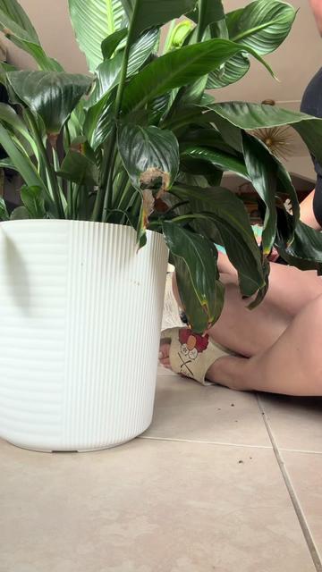 @kellysga18