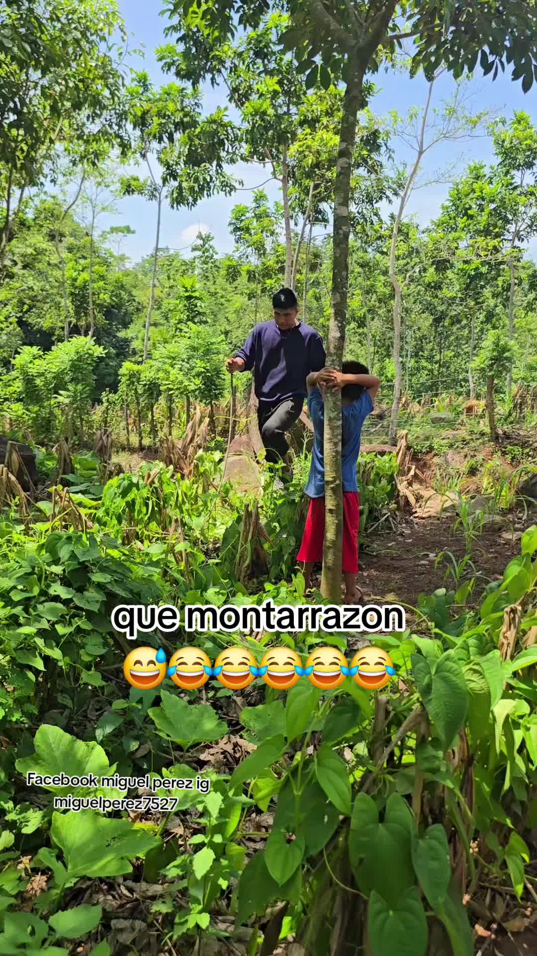 @Miguel perez