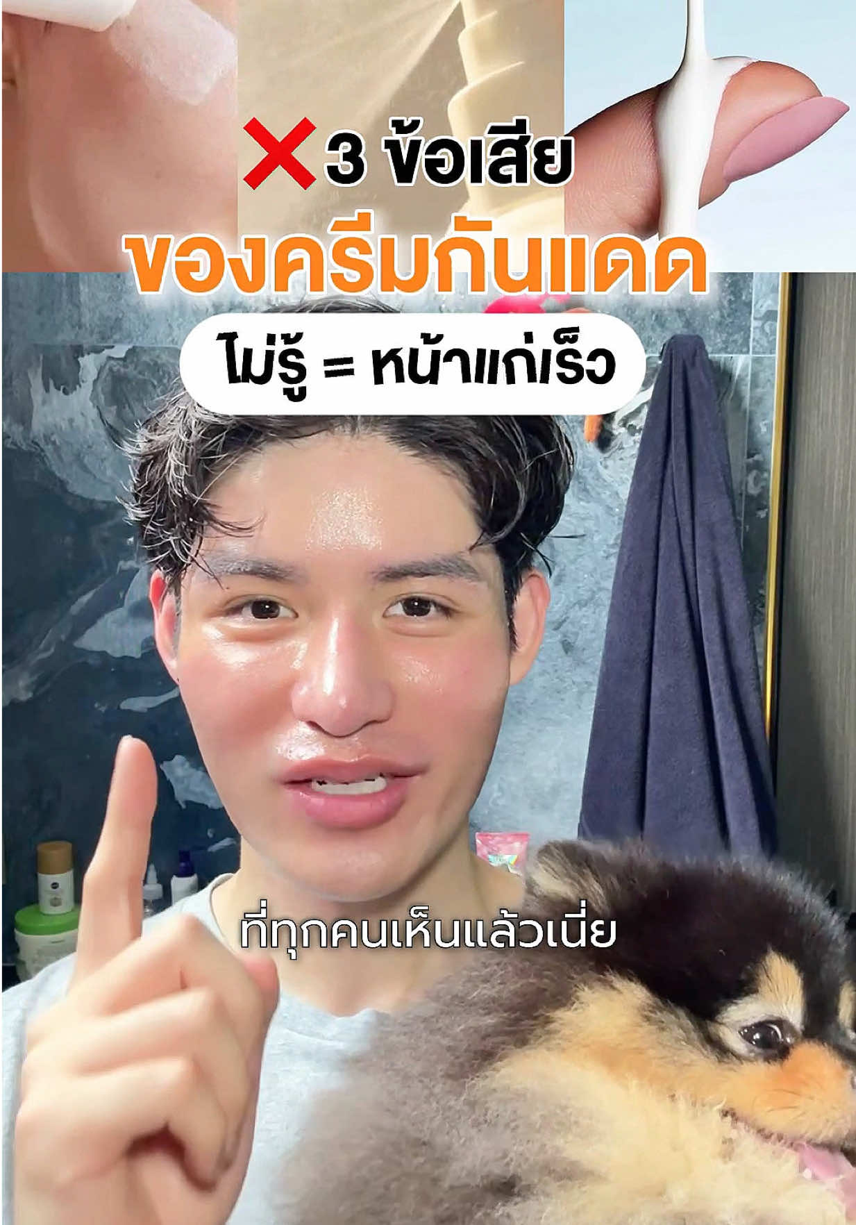 @หนูปอนด์ที่ชอบเลเซ่อร์