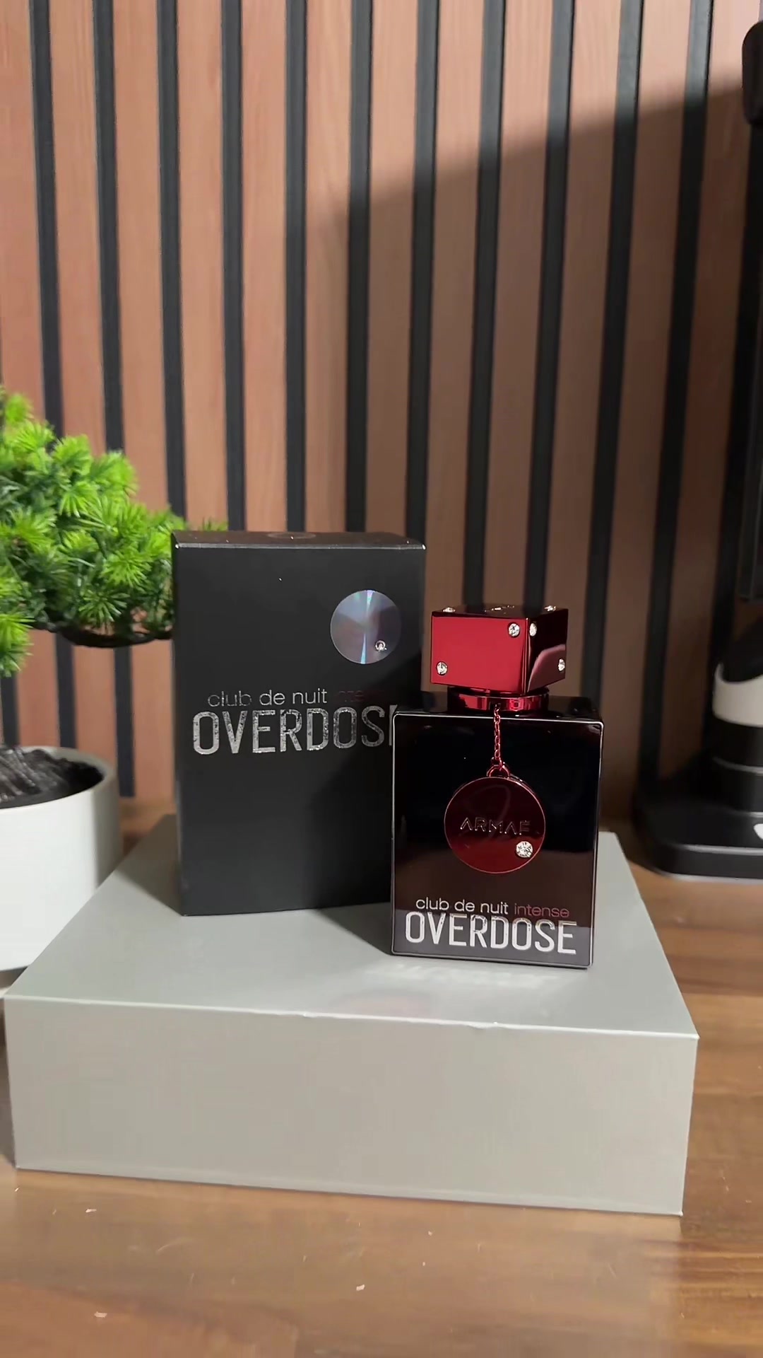 @introvertedforce