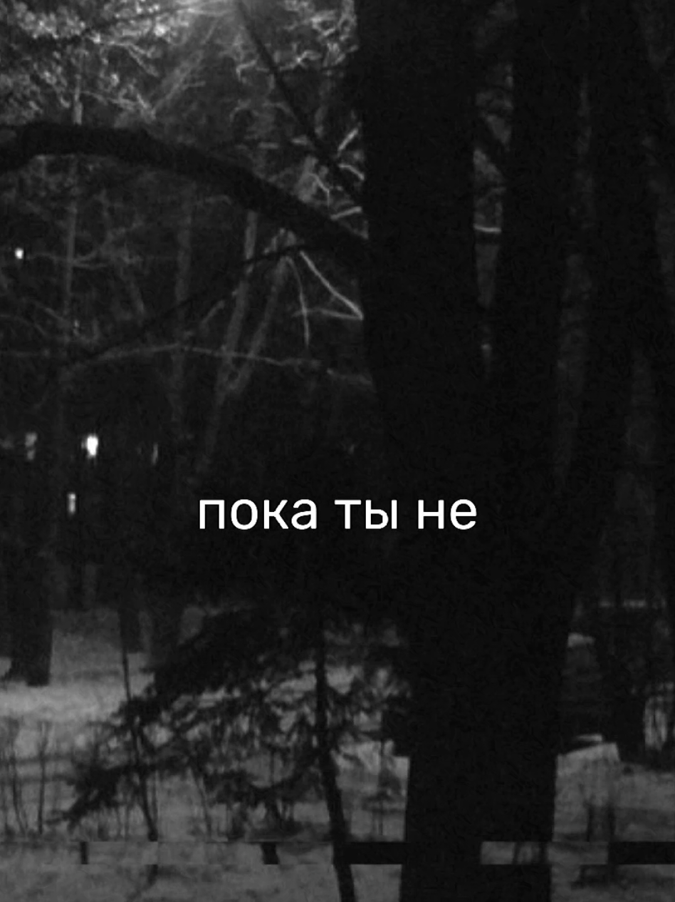@я твоё зеркало